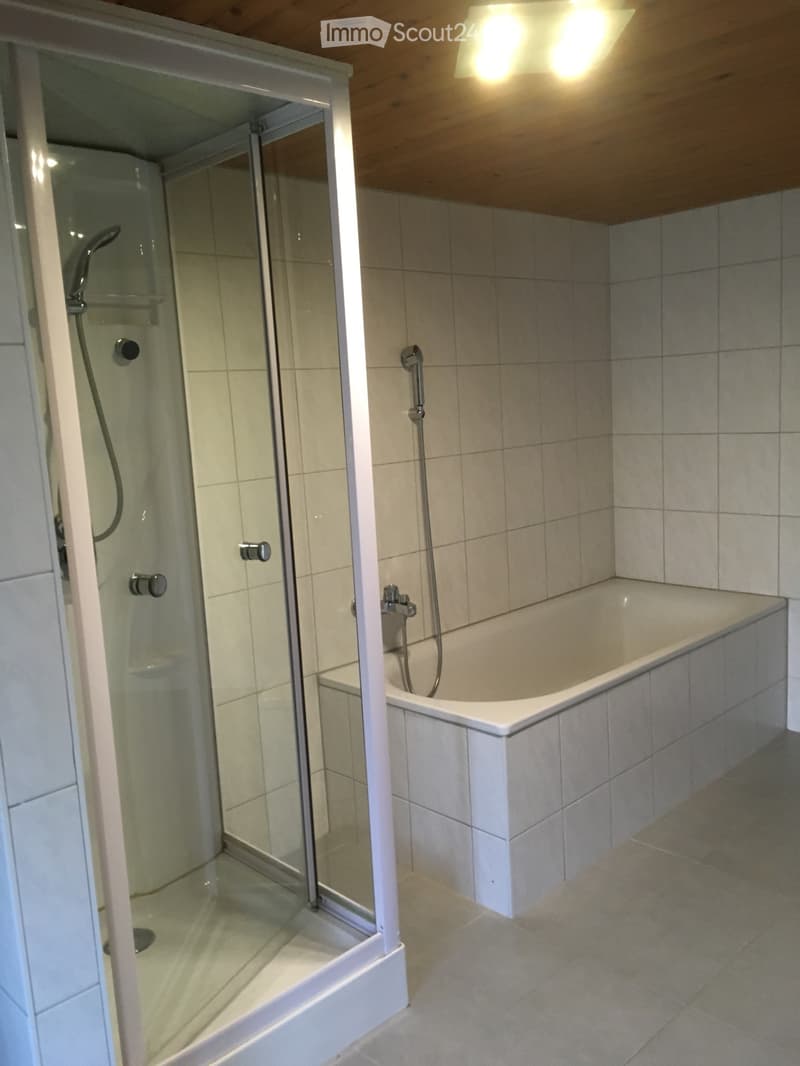 Duplex-Wohnung 3.5 (4)