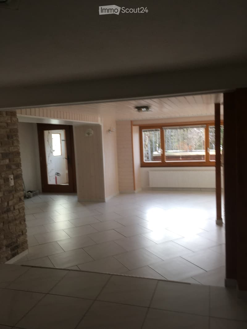 Duplex-Wohnung 3.5 (2)
