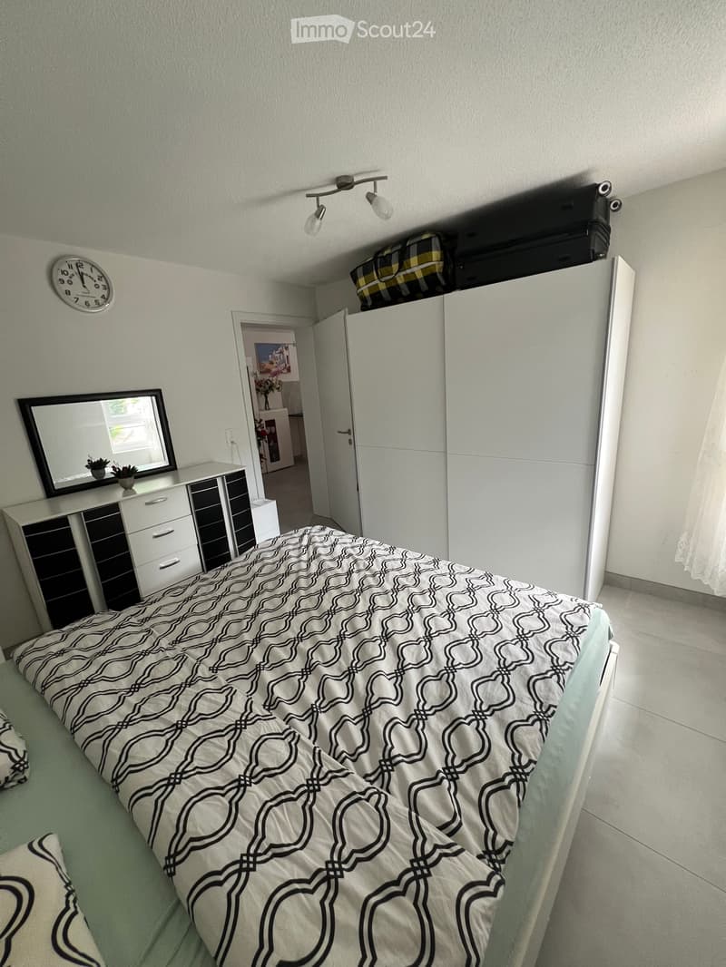 Kleines Apartment mit 3,5 Zimmern komplett renoviert (3)