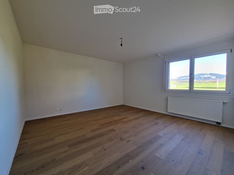 Helles Apartment 3.5 Zimmer, renoviert, mit Garten (4)