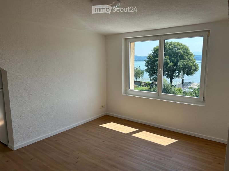 Two-room apartment with breathtaking views of Lake Morat (3)