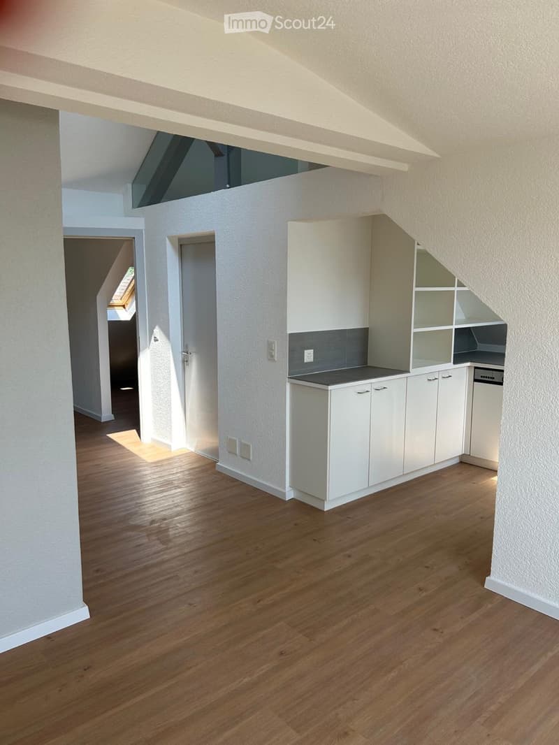 Two-room apartment with breathtaking views of Lake Morat (4)