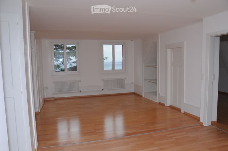 Beautiful attic apartment with a view, available from July 1st (1)