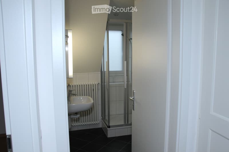 Beautiful attic apartment with a view, available from July 1st (5)