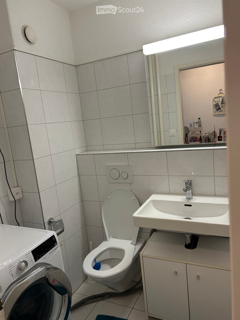 4.5 room apartment Subtenant wanted from July 2026 (2)