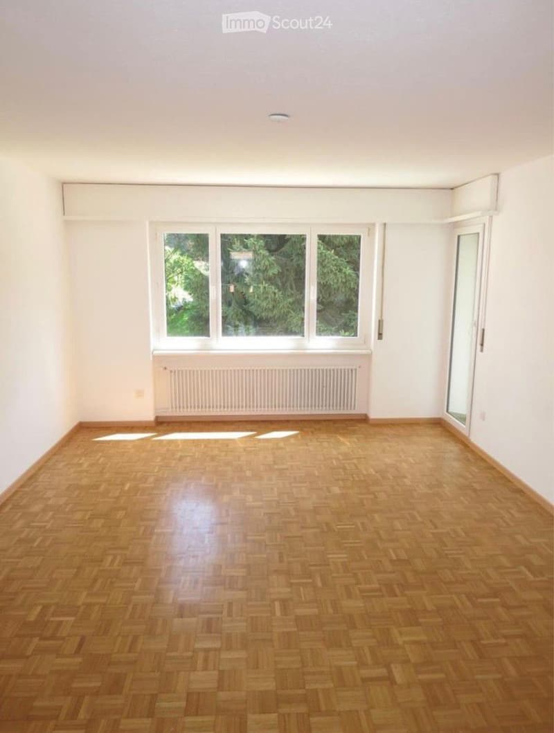 4.5 room apartment Subtenant wanted from July 2026 (3)