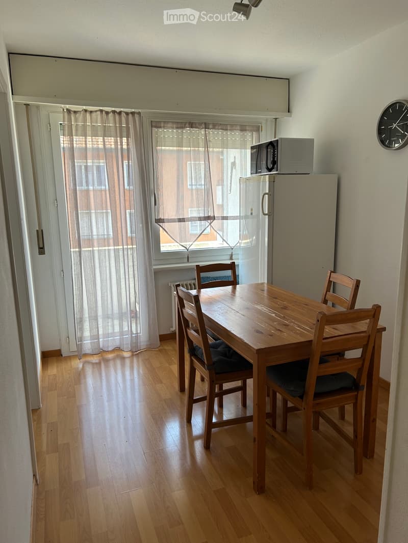 4.5 room apartment Subtenant wanted from July 2026 (5)