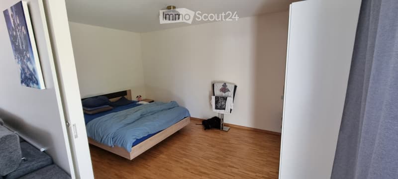 Grand appartement proche de l'EHL et du Biopôle (2)