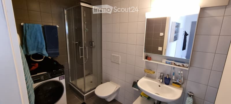 Grand appartement proche de l'EHL et du Biopôle (4)
