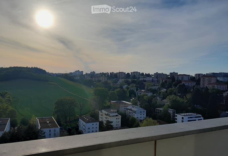 Prächtige 4.5-Zimmer-Wohnung im letzten Stock mit großer Terrasse (1)