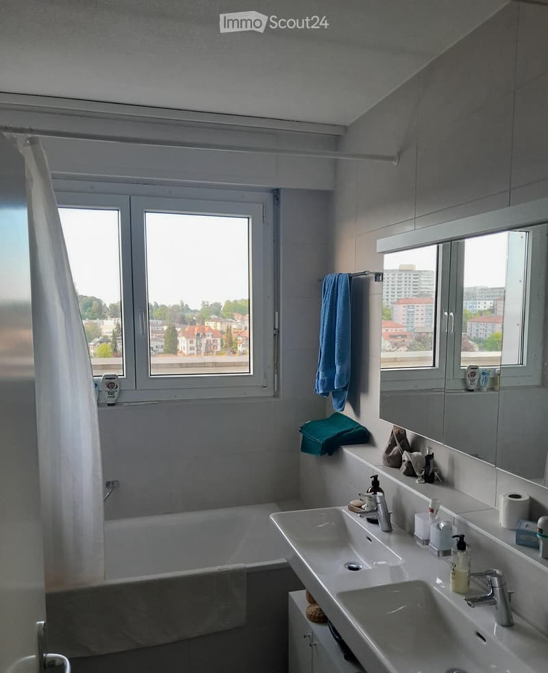 Prächtige 4.5-Zimmer-Wohnung im letzten Stock mit großer Terrasse (5)