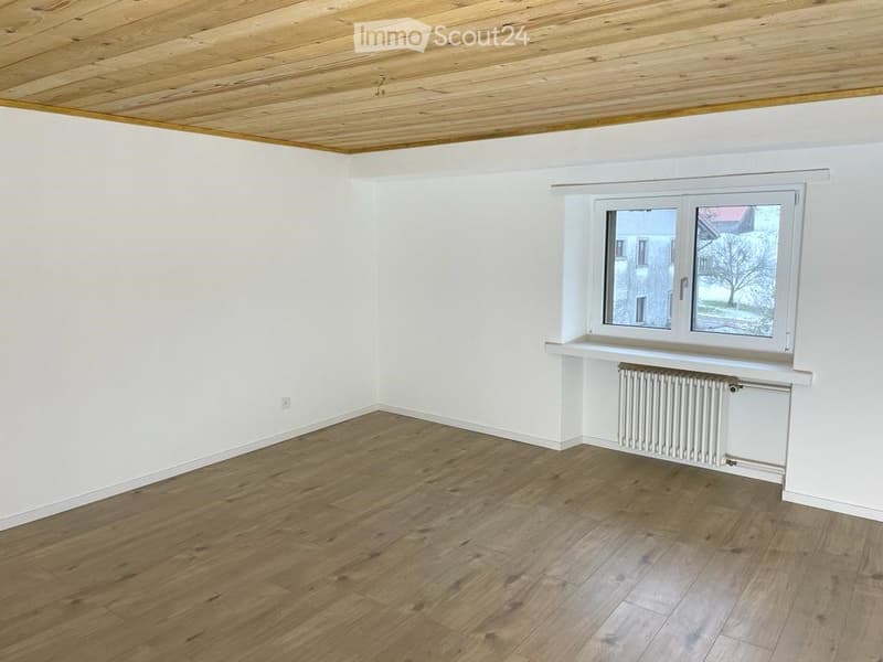 In affitto grande appartamento di 4.5 locali in una casa (4)