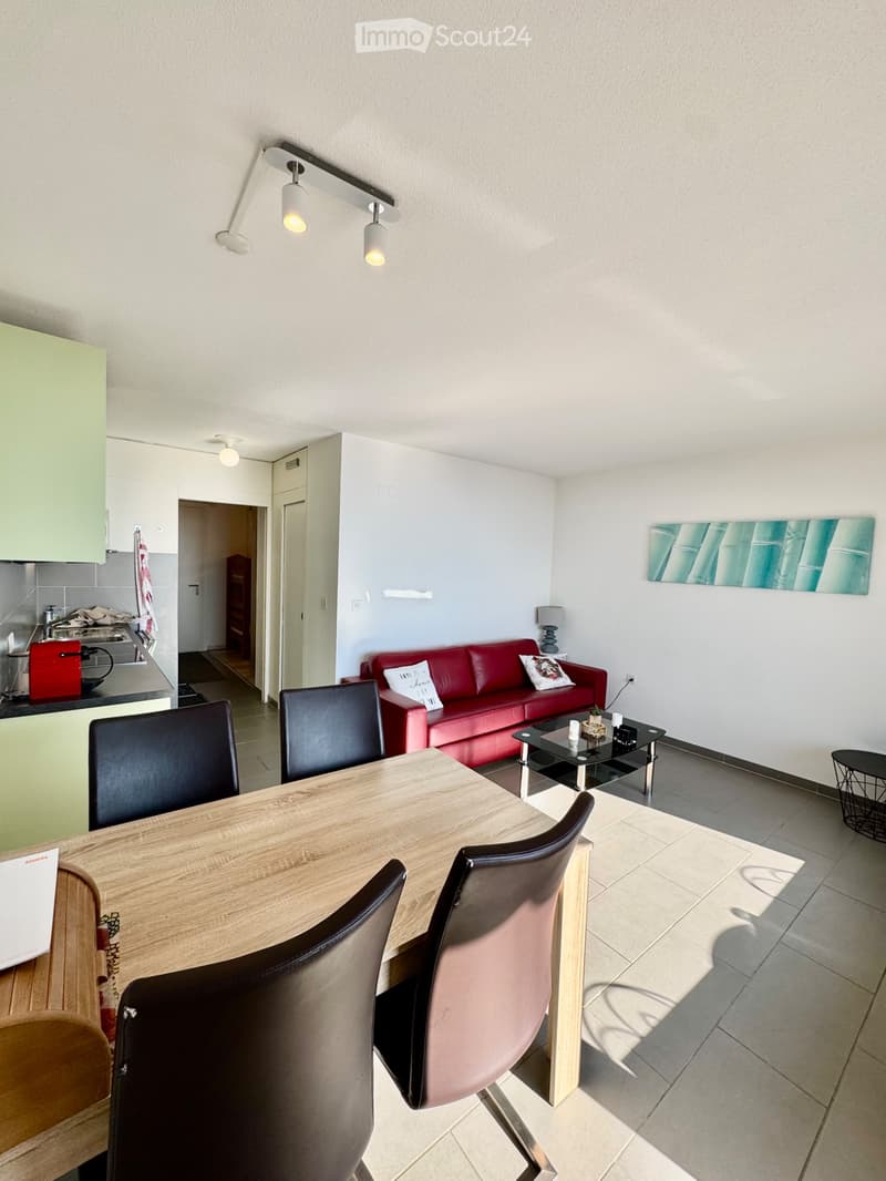 Schönes Apartment zur Miete (2)