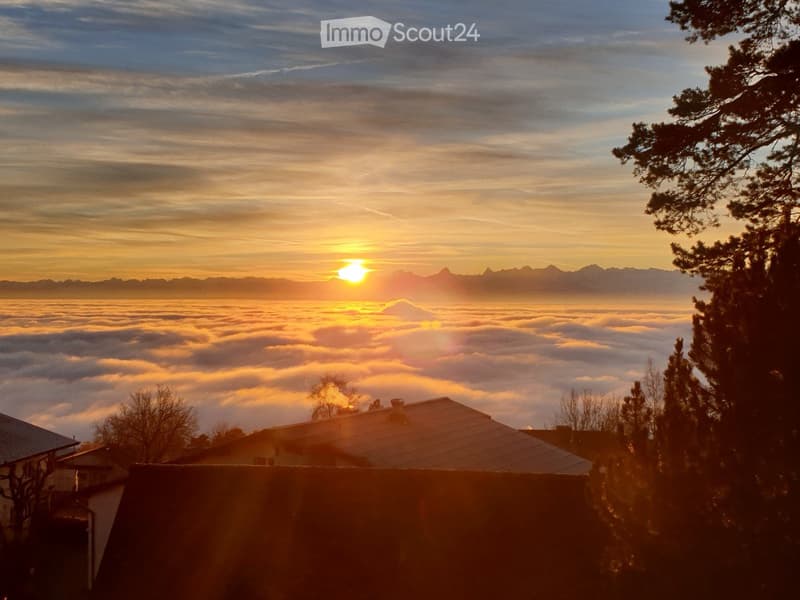 Villa with panoramic view, large garden and heated pool (3)