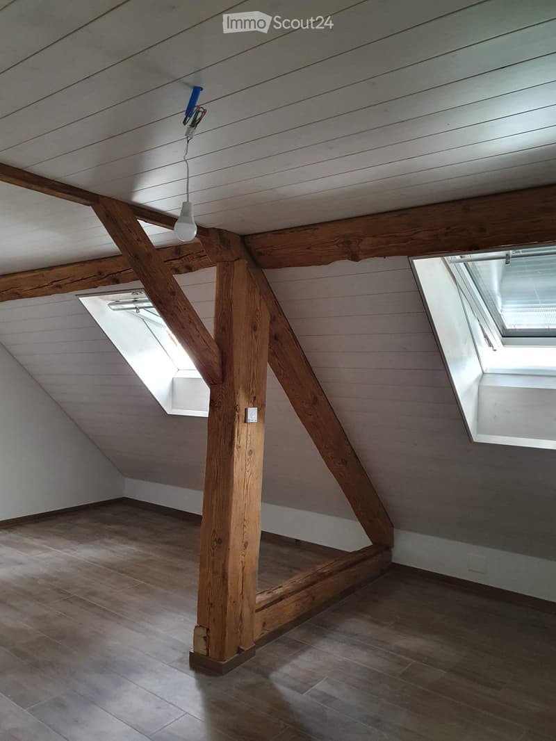 Appartement de 5pcs à louer, Prez-vers-Noreaz (4)