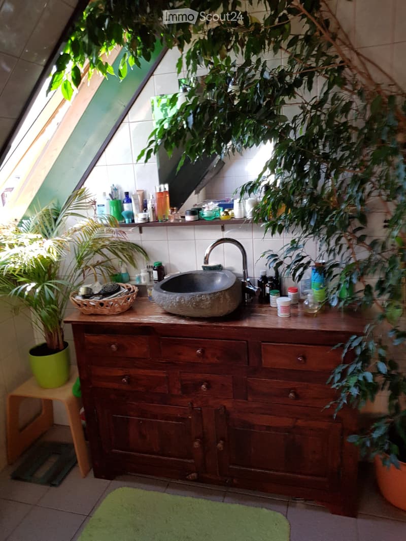 Appartement Duplex + combles (2)