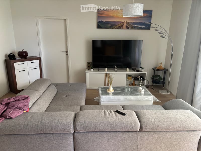 Appartamento 3,5 locali (4)