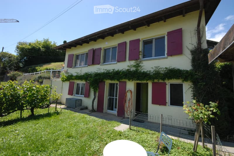For sale in Vallamand-Dessus, 4.5 room house (4)