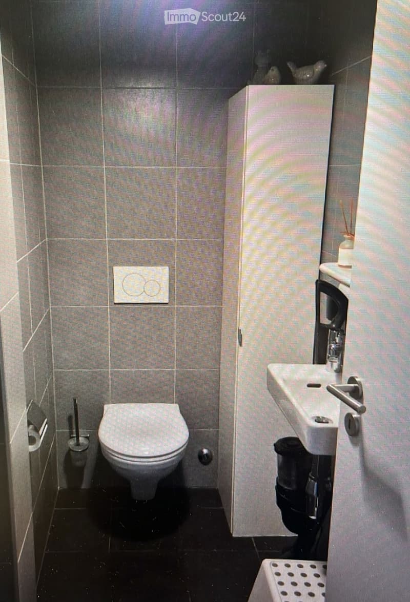 Superbe appartement de 4p à carouge (4)