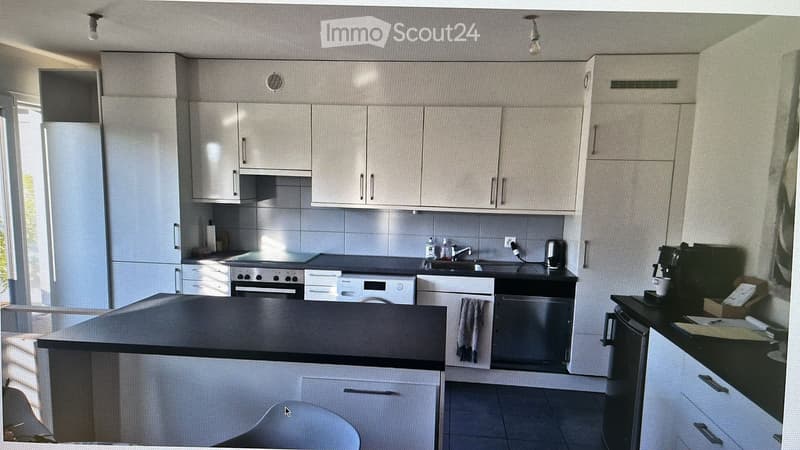 Superbe appartement de 4p à carouge (1)