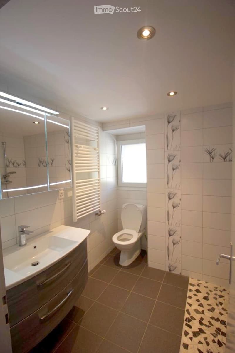 Großes 2-Zimmer-Apartment in einem Haus (3)