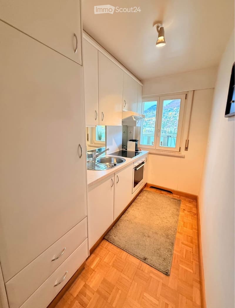 Zentrale Wohnung in der Nähe des Sees (3)