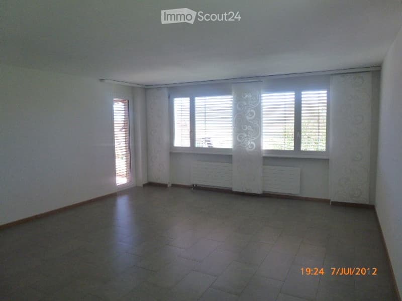 Beautiful and large 3.5-room apartment (3)