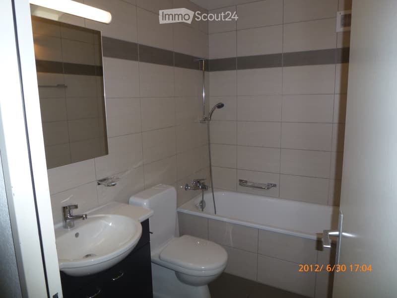 Beautiful and large 3.5-room apartment (5)