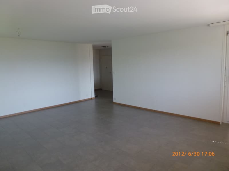 Beautiful and large 3.5-room apartment (4)