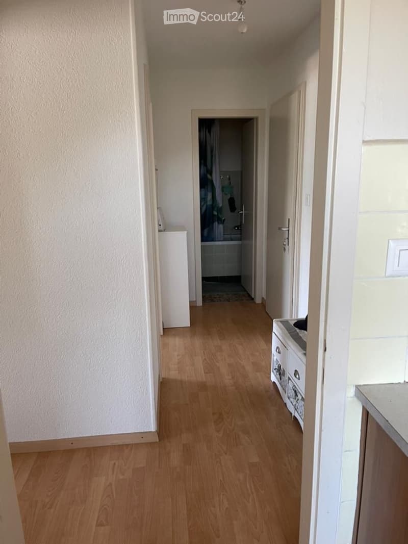 Untervermietung 2,5 in Monthey (4)