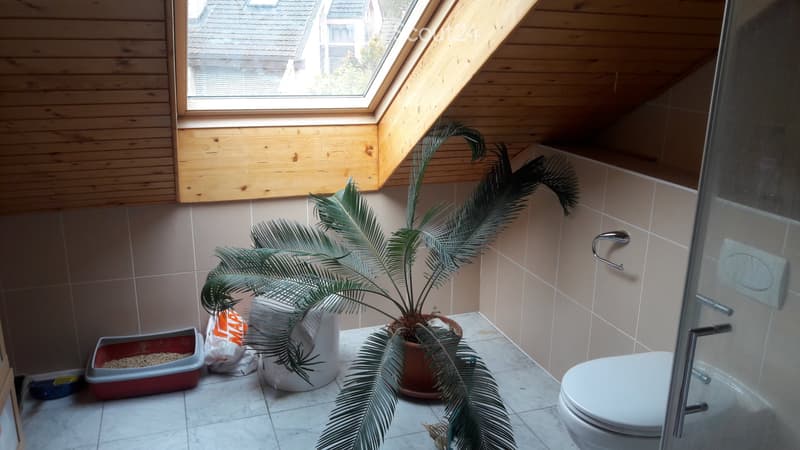 Schönes 15m2 Zimmer in Mont sur Lausanne (5)