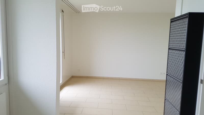 In Affitto Appartamento 1.5 Locali (1)