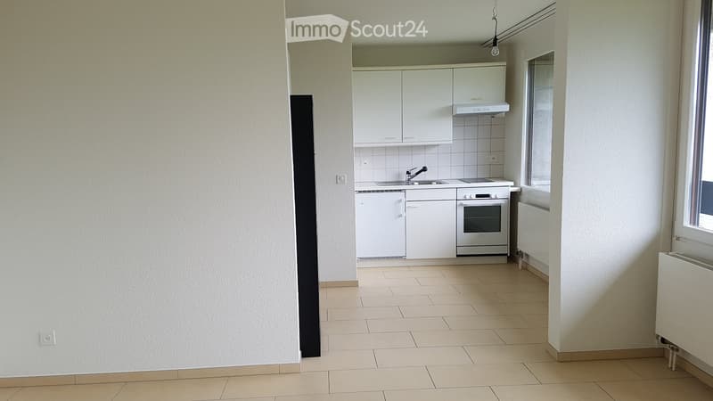 In Affitto Appartamento 1.5 Locali (2)