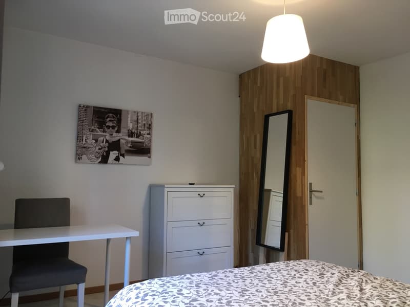 Large furnished room (3)