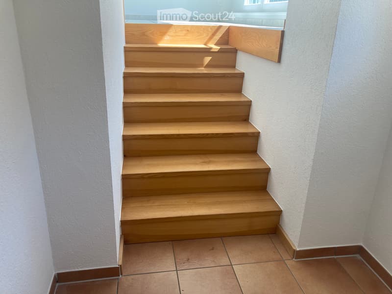 Appartamento in una casa familiare (3)