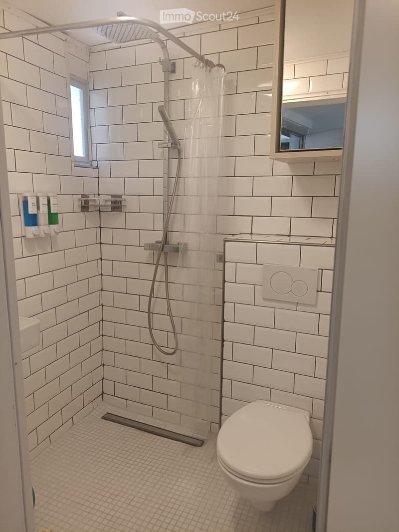 Ferienwohnung 3.5 Zimmer zur Vermietung. MAI, JUNI, JULI, AUGUST (5)