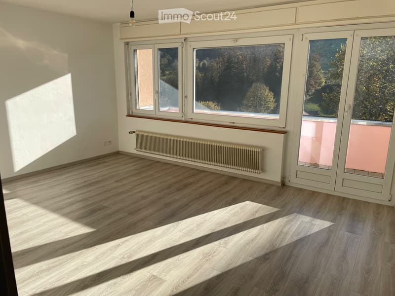 Semi-detached house (3)