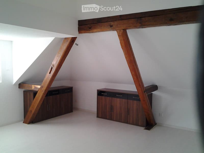 Residential and Commercial House for Rent (5)