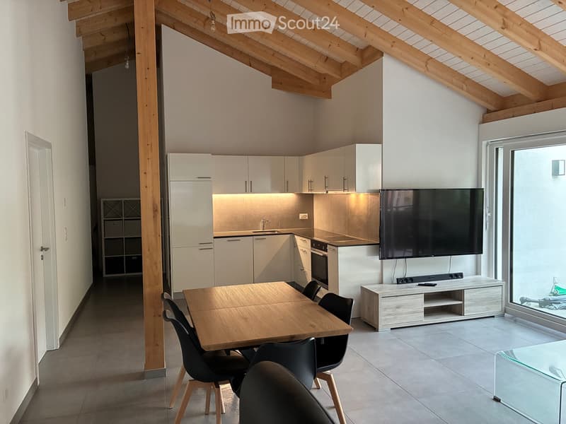 Magnifique appartement 3.5 pièces de 2023 (1)