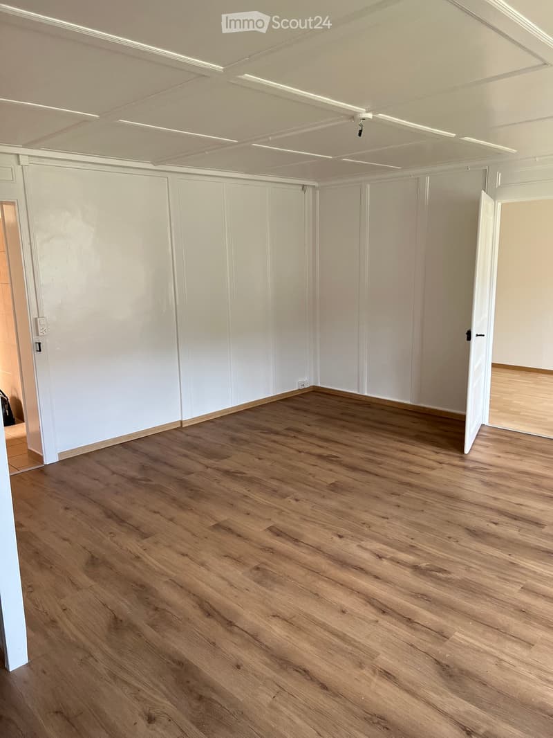 Apartment 6,5 rooms (5)