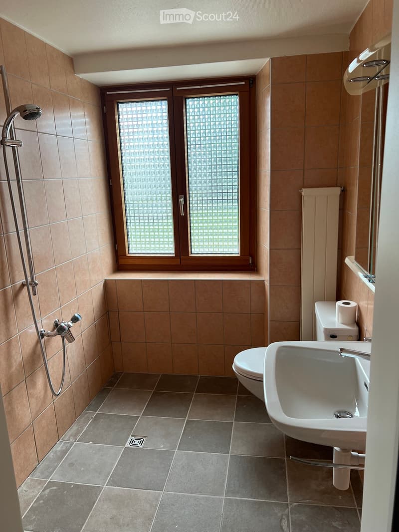 Apartment 6,5 rooms (2)