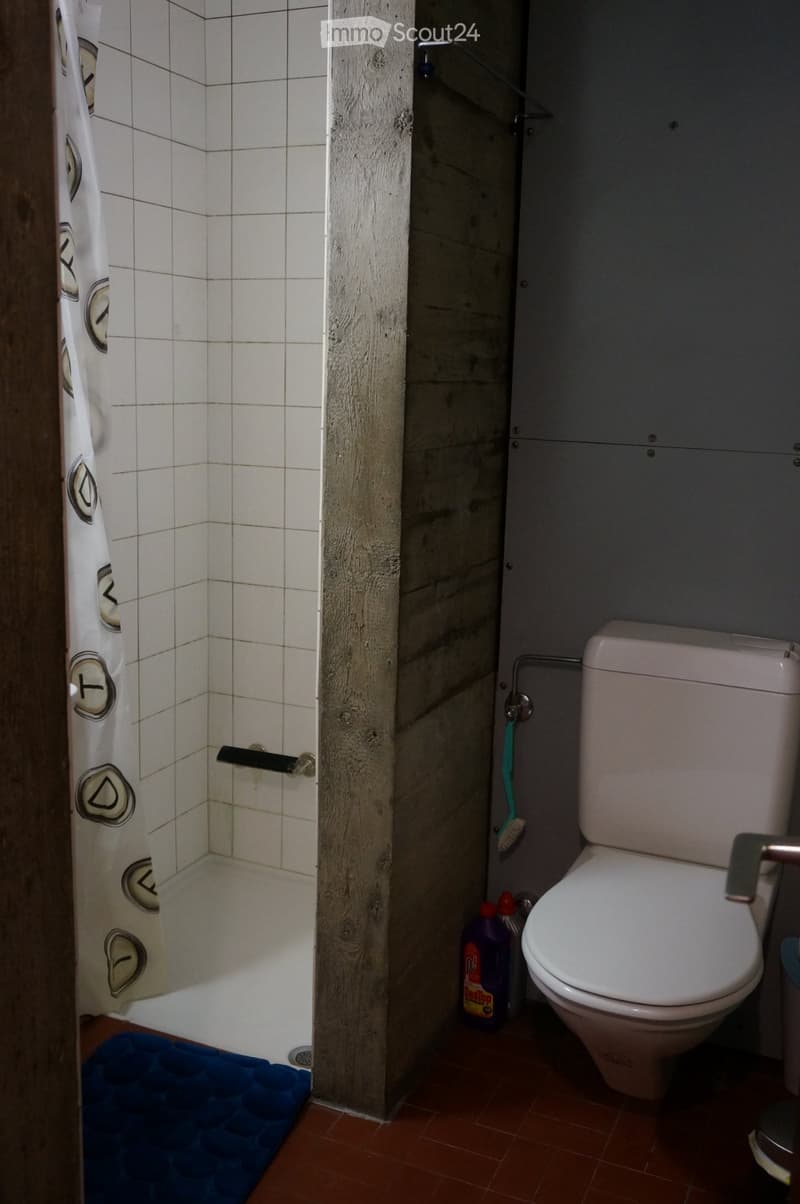 Großes möbliertes und ausgestattetes Studio in Le Locle (3)