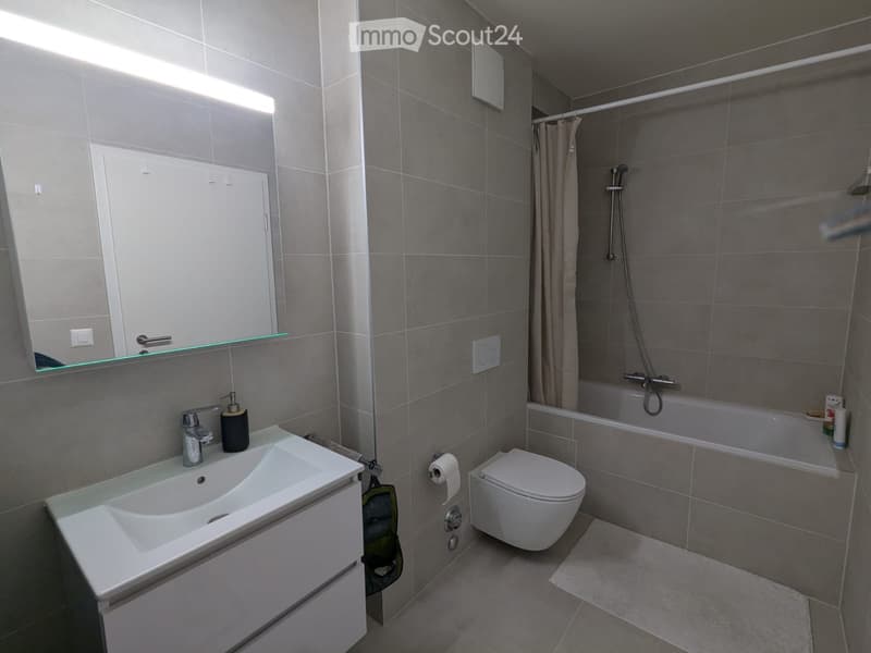Very beautiful 3-room apartment, 2 steps from Lancy Bachet train station (5)