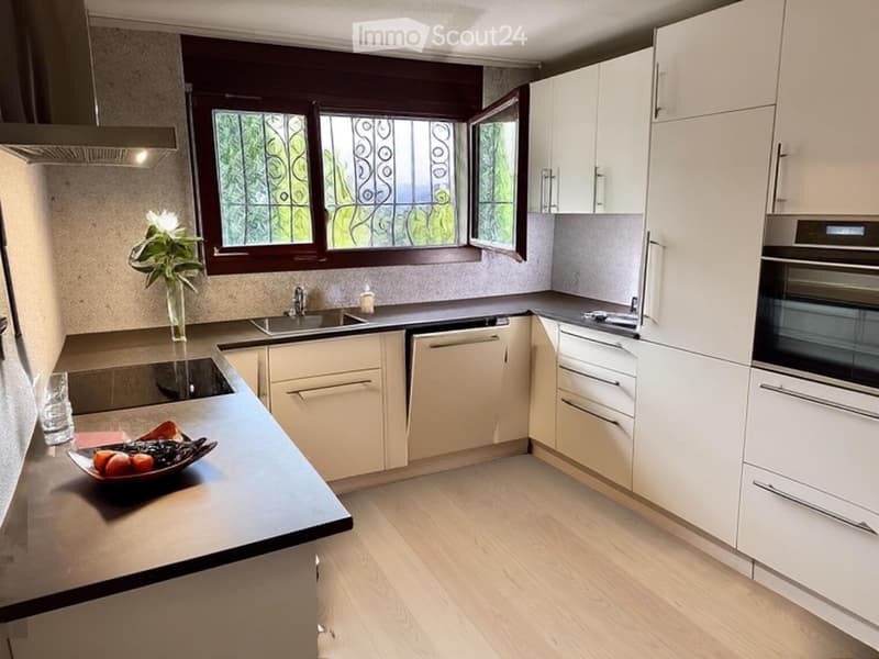 8 1/2-room single-family house - privileged southwest view near schools and public transport (2)