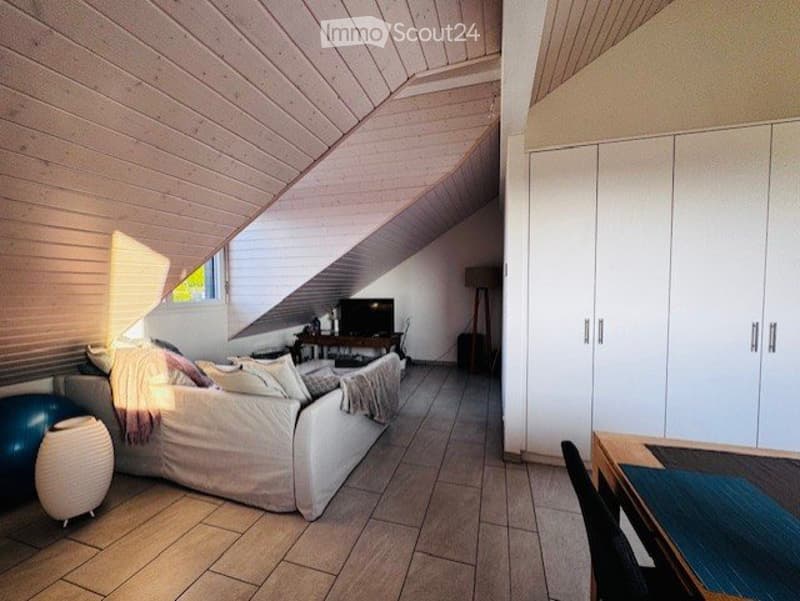 Charmantes 1,5-Zimmer-Wohnung in Gilly (4)