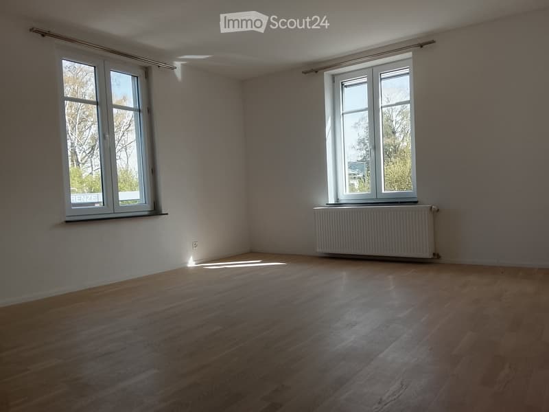Grosszügige 5.5-Zimmer-Wohnung mit riesiger Terrasse (3)