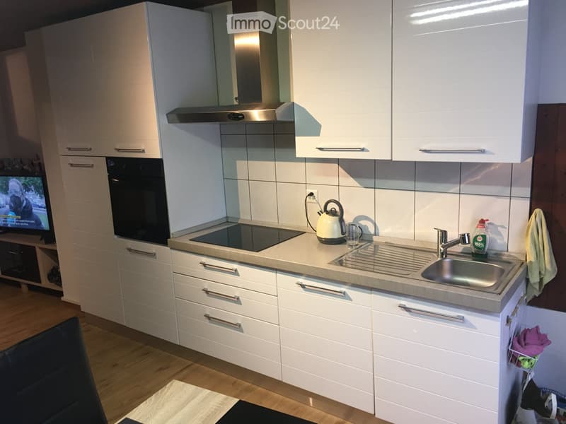 Wohnung 3.5 Zimmer. Vollständig renoviert. Altstadt (5)