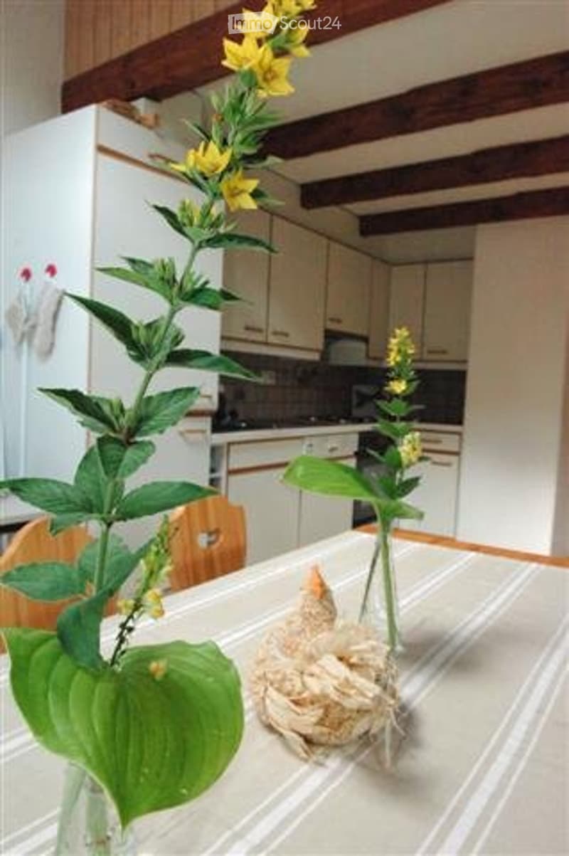appartement de 4,5 pces à louer en pleine nature (3)
