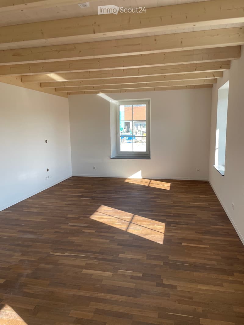 For rent - Magnificent 5.5-room new build with garden - Echarlens (3)