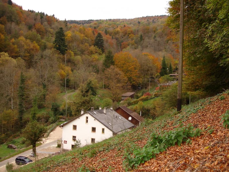 Studio à louer à la campagne (4)